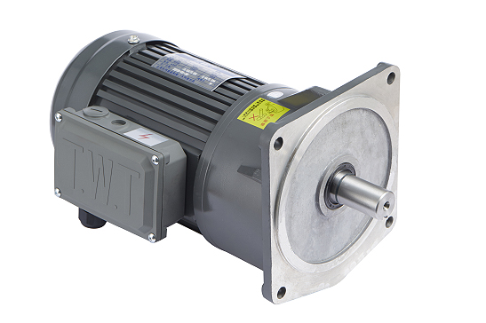 Small AC Gear Motor